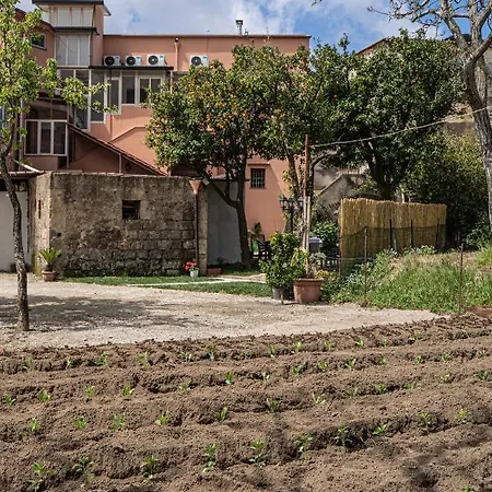 Il Casale Di Don Matteo