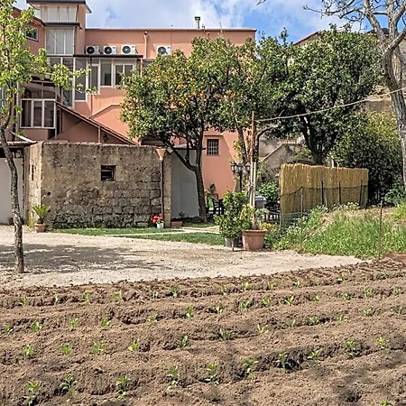 Il Casale Di Don Matteo 3* Vico Equense